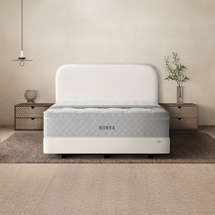 BEREX 코지 프레임 SS  퓨어 아이보리
